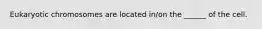 Eukaryotic chromosomes are located in/on the ______ of the cell.