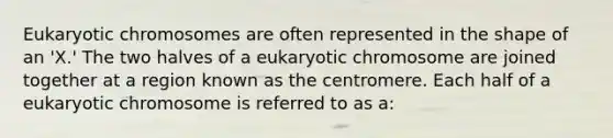 Eukaryotic chromosomes are often represented in the shape of an 'X.' The two halves of a eukaryotic chromosome are joined together at a region known as the centromere. Each half of a eukaryotic chromosome is referred to as a: