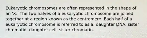 Eukaryotic chromosomes are often represented in the shape of an 'X.' The two halves of a eukaryotic chromosome are joined together at a region known as the centromere. Each half of a eukaryotic chromosome is referred to as a: daughter DNA. sister chromatid. daughter cell. sister chromatin.