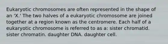 Eukaryotic chromosomes are often represented in the shape of an 'X.' The two halves of a eukaryotic chromosome are joined together at a region known as the centromere. Each half of a eukaryotic chromosome is referred to as a: sister chromatid. sister chromatin. daughter DNA. daughter cell.