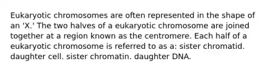 Eukaryotic chromosomes are often represented in the shape of an 'X.' The two halves of a eukaryotic chromosome are joined together at a region known as the centromere. Each half of a eukaryotic chromosome is referred to as a: sister chromatid. daughter cell. sister chromatin. daughter DNA.