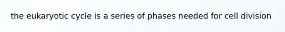 the eukaryotic cycle is a series of phases needed for cell division