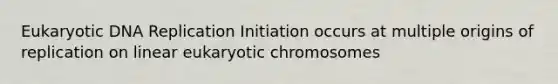 Eukaryotic DNA Replication Initiation occurs at multiple origins of replication on linear eukaryotic chromosomes