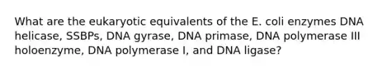 What are the eukaryotic equivalents of the E. coli enzymes DNA helicase, SSBPs, DNA gyrase, DNA primase, DNA polymerase III holoenzyme, DNA polymerase I, and DNA ligase?