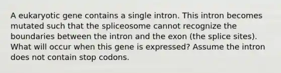 A eukaryotic gene contains a single intron. This intron becomes mutated such that the spliceosome cannot recognize the boundaries between the intron and the exon (the splice sites). What will occur when this gene is expressed? Assume the intron does not contain stop codons.