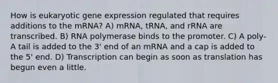 How is eukaryotic gene expression regulated that requires additions to the mRNA? A) mRNA, tRNA, and rRNA are transcribed. B) RNA polymerase binds to the promoter. C) A poly-A tail is added to the 3' end of an mRNA and a cap is added to the 5' end. D) Transcription can begin as soon as translation has begun even a little.