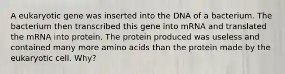 A eukaryotic gene was inserted into the DNA of a bacterium. The bacterium then transcribed this gene into mRNA and translated the mRNA into protein. The protein produced was useless and contained many more amino acids than the protein made by the eukaryotic cell. Why?