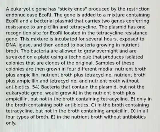 A eukaryotic gene has "sticky ends" produced by the restriction endonuclease EcoRI. The gene is added to a mixture containing EcoRI and a bacterial plasmid that carries two genes conferring resistance to ampicillin and tetracycline. The plasmid has one recognition site for EcoRI located in the tetracycline resistance gene. This mixture is incubated for several hours, exposed to DNA ligase, and then added to bacteria growing in nutrient broth. The bacteria are allowed to grow overnight and are streaked on a plate using a technique that produces isolated colonies that are clones of the original. Samples of these colonies are then grown in four different media: nutrient broth plus ampicillin, nutrient broth plus tetracycline, nutrient broth plus ampicillin and tetracycline, and nutrient broth without antibiotics. 54) Bacteria that contain the plasmid, but not the eukaryotic gene, would grow A) in the nutrient broth plus ampicillin, but not in the broth containing tetracycline. B) only in the broth containing both antibiotics. C) in the broth containing tetracycline, but not in the broth containing ampicillin. D) in all four types of broth. E) in the nutrient broth without antibiotics only.