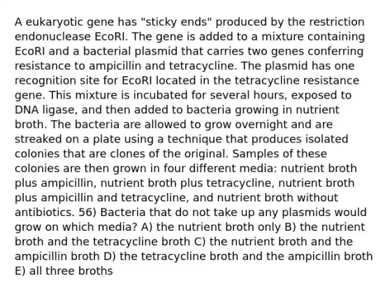 A eukaryotic gene has "sticky ends" produced by the restriction endonuclease EcoRI. The gene is added to a mixture containing EcoRI and a bacterial plasmid that carries two genes conferring resistance to ampicillin and tetracycline. The plasmid has one recognition site for EcoRI located in the tetracycline resistance gene. This mixture is incubated for several hours, exposed to DNA ligase, and then added to bacteria growing in nutrient broth. The bacteria are allowed to grow overnight and are streaked on a plate using a technique that produces isolated colonies that are clones of the original. Samples of these colonies are then grown in four different media: nutrient broth plus ampicillin, nutrient broth plus tetracycline, nutrient broth plus ampicillin and tetracycline, and nutrient broth without antibiotics. 56) Bacteria that do not take up any plasmids would grow on which media? A) the nutrient broth only B) the nutrient broth and the tetracycline broth C) the nutrient broth and the ampicillin broth D) the tetracycline broth and the ampicillin broth E) all three broths