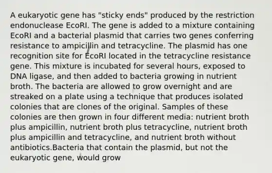 A eukaryotic gene has "sticky ends" produced by the restriction endonuclease EcoRI. The gene is added to a mixture containing EcoRI and a bacterial plasmid that carries two genes conferring resistance to ampicillin and tetracycline. The plasmid has one recognition site for EcoRI located in the tetracycline resistance gene. This mixture is incubated for several hours, exposed to DNA ligase, and then added to bacteria growing in nutrient broth. The bacteria are allowed to grow overnight and are streaked on a plate using a technique that produces isolated colonies that are clones of the original. Samples of these colonies are then grown in four different media: nutrient broth plus ampicillin, nutrient broth plus tetracycline, nutrient broth plus ampicillin and tetracycline, and nutrient broth without antibiotics.Bacteria that contain the plasmid, but not the eukaryotic gene, would grow