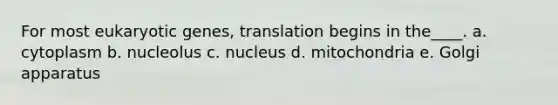 For most eukaryotic genes, translation begins in the____. a. cytoplasm b. nucleolus c. nucleus d. mitochondria e. Golgi apparatus