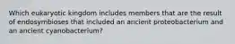 Which eukaryotic kingdom includes members that are the result of endosymbioses that included an ancient proteobacterium and an ancient cyanobacterium?