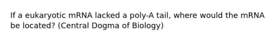 If a eukaryotic mRNA lacked a poly-A tail, where would the mRNA be located? (Central Dogma of Biology)