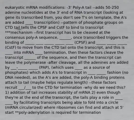 eukaryotic mRNA modifications: -3' Poly-A tail --adds 50-250 adenine nucleotides at the 3' end of RNA transcript (looking at gene its transcribed from, you don't see T's on template, the A's are added ____ transcription) --pattern of phosphate groups on CTD tail tells the CPSF and CstF to bind to transcript ***mechanism --first transcript has to be cleaved at the consensus poly-A sequence, ______, once transcribed triggers the binding of _____ ____ _____ _____ ____ (CPSF) and _____ _____ _____ (CstF) to move from the CTD tail onto the transcript, and this is ____ into mRNA ____ termination, then these factors cleave the transcript ______ of the sequence, and then the transcript can leave the polymerase -after cleavage, all the adenines are added by ___-_____ _____ (PAP), (which uses ____ as a source of phosphates) which adds A's to transcript in ____ _____ fashion (no DNA needed), as the A's are added, the poly-A binding proteins attach to tail (maybe helps regulate length) --these factors recruit ___/___ to the CTD for termination -why do we need this? 1) addition of tail increases stability of mRNA 2) even though they're at the end of the transcript, the tails play a role in ____ ____ by facilitating transcripts being able to fold into a circle (mRNA circularized) where ribosomes can find and attach at 5' start **poly-adenylation is required for termination