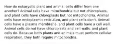 How do eukaryotic plant and animal cells differ from one another? Animal cells have mitochondria but not chloroplasts, and plant cells have chloroplasts but not mitochondria. Animal cells have endoplasmic reticulum, and plant cells don't. Animal cells have a plasma membrane, and plant cells have a cell wall. Animal cells do not have chloroplasts and cell walls, and plant cells do. Because both plants and animals must perform cellular respiration, they both require mitochondria.