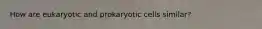 How are eukaryotic and prokaryotic cells similar?