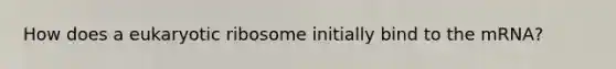 How does a eukaryotic ribosome initially bind to the mRNA?