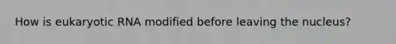 How is eukaryotic RNA modified before leaving the nucleus?