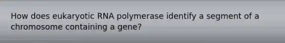 How does eukaryotic RNA polymerase identify a segment of a chromosome containing a gene?