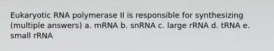 Eukaryotic RNA polymerase II is responsible for synthesizing (multiple answers) a. mRNA b. snRNA c. large rRNA d. tRNA e. small rRNA