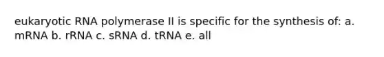 eukaryotic RNA polymerase II is specific for the synthesis of: a. mRNA b. rRNA c. sRNA d. tRNA e. all