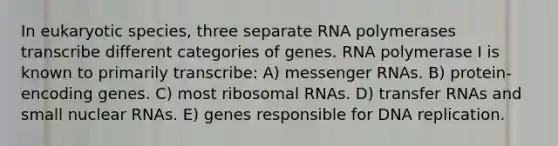 In eukaryotic species, three separate RNA polymerases transcribe different categories of genes. RNA polymerase I is known to primarily transcribe: A) messenger RNAs. B) protein-encoding genes. C) most ribosomal RNAs. D) transfer RNAs and small nuclear RNAs. E) genes responsible for DNA replication.