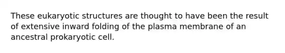 These eukaryotic structures are thought to have been the result of extensive inward folding of the plasma membrane of an ancestral prokaryotic cell.