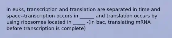 in euks, transcription and translation are separated in time and space--transcription occurs in ______ and translation occurs by using ribosomes located in _____ -(in bac, translating mRNA before transcription is complete)