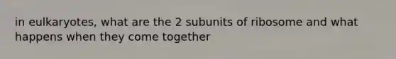 in eulkaryotes, what are the 2 subunits of ribosome and what happens when they come together