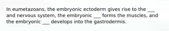 In eumetazoans, the embryonic ectoderm gives rise to the ___ and <a href='https://www.questionai.com/knowledge/kThdVqrsqy-nervous-system' class='anchor-knowledge'>nervous system</a>, the embryonic ___ forms the muscles, and the embryonic ___ develops into the gastrodermis.