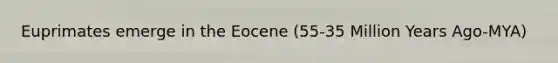 Euprimates emerge in the Eocene (55-35 Million Years Ago-MYA)