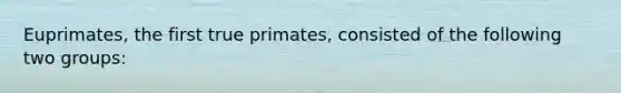 Euprimates, the first true primates, consisted of the following two groups: