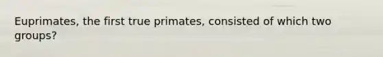 Euprimates, the first true primates, consisted of which two groups?