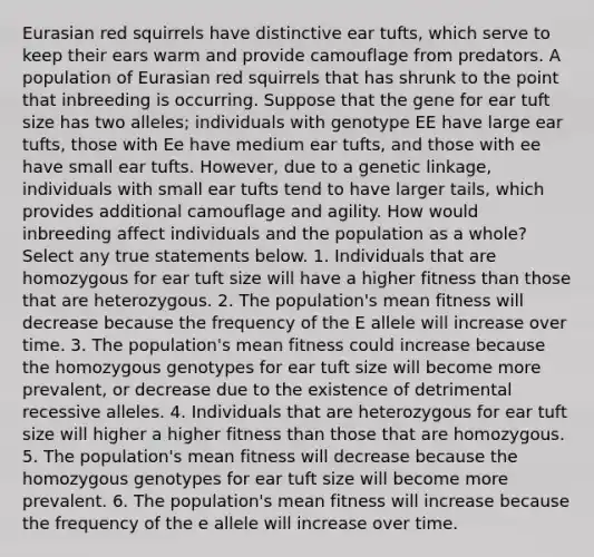 Eurasian red squirrels have distinctive ear tufts, which serve to keep their ears warm and provide camouflage from predators. A population of Eurasian red squirrels that has shrunk to the point that inbreeding is occurring. Suppose that the gene for ear tuft size has two alleles; individuals with genotype EE have large ear tufts, those with Ee have medium ear tufts, and those with ee have small ear tufts. However, due to a genetic linkage, individuals with small ear tufts tend to have larger tails, which provides additional camouflage and agility. How would inbreeding affect individuals and the population as a whole? Select any true statements below. 1. Individuals that are homozygous for ear tuft size will have a higher fitness than those that are heterozygous. 2. The population's mean fitness will decrease because the frequency of the E allele will increase over time. 3. The population's mean fitness could increase because the homozygous genotypes for ear tuft size will become more prevalent, or decrease due to the existence of detrimental recessive alleles. 4. Individuals that are heterozygous for ear tuft size will higher a higher fitness than those that are homozygous. 5. The population's mean fitness will decrease because the homozygous genotypes for ear tuft size will become more prevalent. 6. The population's mean fitness will increase because the frequency of the e allele will increase over time.