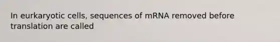 In eurkaryotic cells, sequences of mRNA removed before translation are called