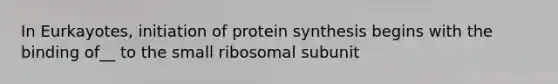 In Eurkayotes, initiation of protein synthesis begins with the binding of__ to the small ribosomal subunit