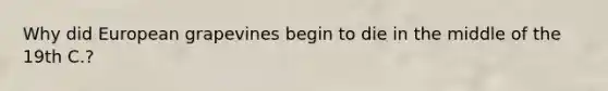 Why did European grapevines begin to die in the middle of the 19th C.?