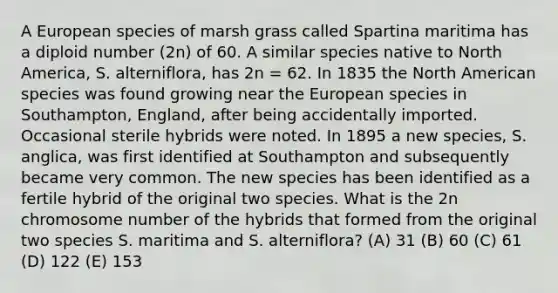 A European species of marsh grass called Spartina maritima has a diploid number (2n) of 60. A similar species native to North America, S. alterniflora, has 2n = 62. In 1835 the North American species was found growing near the European species in Southampton, England, after being accidentally imported. Occasional sterile hybrids were noted. In 1895 a new species, S. anglica, was first identified at Southampton and subsequently became very common. The new species has been identified as a fertile hybrid of the original two species. What is the 2n chromosome number of the hybrids that formed from the original two species S. maritima and S. alterniflora? (A) 31 (B) 60 (C) 61 (D) 122 (E) 153