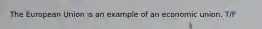 The European Union is an example of an economic union. T/F