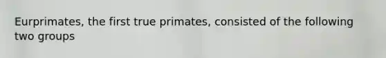 Eurprimates, the first true primates, consisted of the following two groups