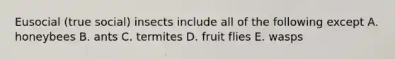 Eusocial (true social) insects include all of the following except A. honeybees B. ants C. termites D. fruit flies E. wasps