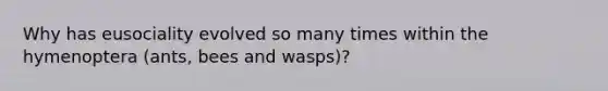 Why has eusociality evolved so many times within the hymenoptera (ants, bees and wasps)?