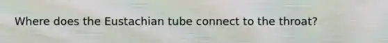 Where does the Eustachian tube connect to the throat?