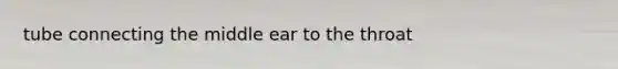 tube connecting the middle ear to the throat