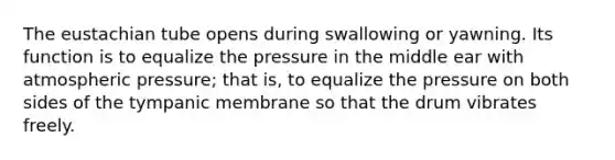 The eustachian tube opens during swallowing or yawning. Its function is to equalize the pressure in the middle ear with atmospheric pressure; that is, to equalize the pressure on both sides of the tympanic membrane so that the drum vibrates freely.