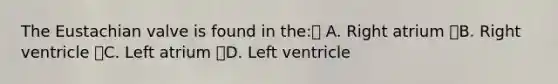 The Eustachian valve is found in the: A. Right atrium B. Right ventricle C. Left atrium D. Left ventricle