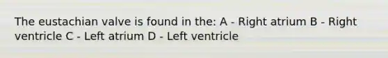 The eustachian valve is found in the: A - Right atrium B - Right ventricle C - Left atrium D - Left ventricle