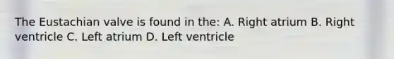 The Eustachian valve is found in the: A. Right atrium B. Right ventricle C. Left atrium D. Left ventricle