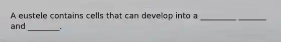A eustele contains cells that can develop into a _________ _______ and ________.