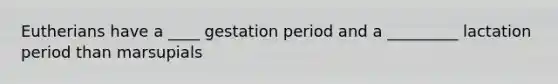 Eutherians have a ____ gestation period and a _________ lactation period than marsupials